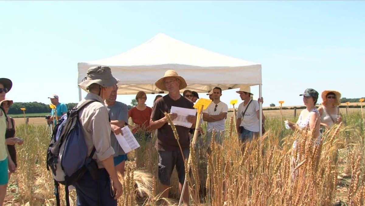 Comment financer l'achat d'un terrain agricole