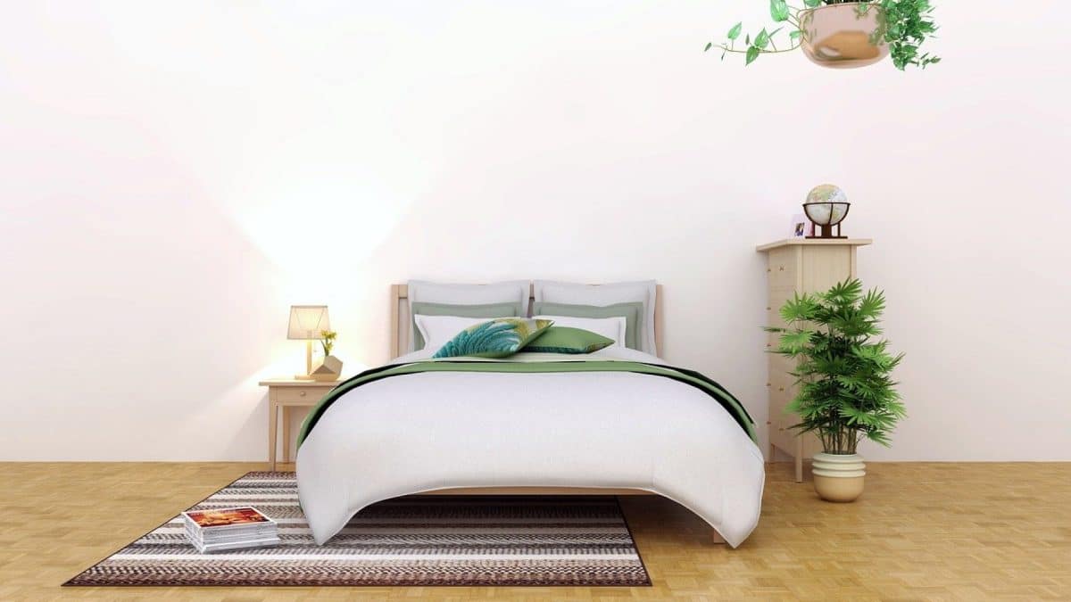 Découvrez trois solutions anti-punaises de lit à Rueil-Malmaison